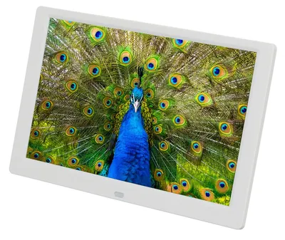 Фоторамка Digma PF1043W, 10.1", IPS, 1280x800, белый