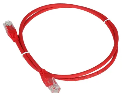 Патч-корд LANMASTER - TWT, UTP, кат. 5e, 2 x RJ-45, RJ-45 - RJ-45, ПВХ, красный, 10 м, с заливными колпачками, TWT-45-45-10-RD