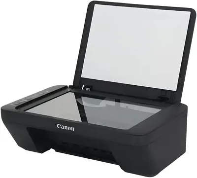 МФУ струйный Canon Pixma MG2541S (0727C071/0727C067) A4 черный