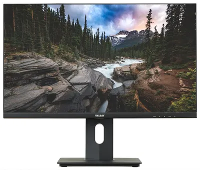 23.8" Valday IP238VL1 black (IPS, 1920x1080, 16:9, 178/178, 250cd/m2, 5ms, 75Hz, HAS, VGA, HDMI, DP,  USB-hub,  MM)