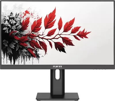 Монитор RDW Computers 2701K/Q03В3100V2A1H, 27" IPS, 2560x1440, 100Гц