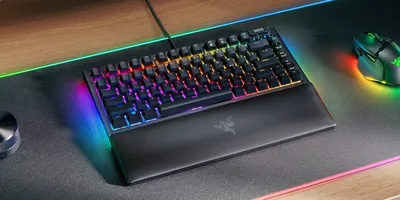 RZ03-05000100-R3M1 Razer Клавиатура BlackWidow V4 75%  механическая, компактная, Hot Swap, RGB Razer Chroma™,  кабель  2