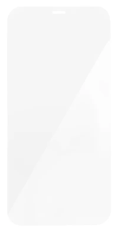 Защитное стекло Digma DGG1AP12PA, для iPhone 12/12 Pro