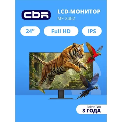 Монитор CBR LCD-MF2402-OPC, 23.8", IPS, FHD, 100Гц