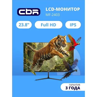 CBR LCD Монитор 23.8" MF-2403 безрамочный, IPS, FHD 1920x1080, 144Гц, 1*DP/1*HDMI, внешний БП, FreeSync, черный, кабель HDMI 1.5м в комплекте [LCD-MF2403-OPC]