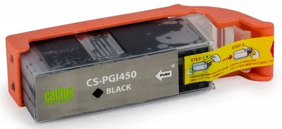 Картридж Cactus CS-PGI450, черный, для Canon, 25мл