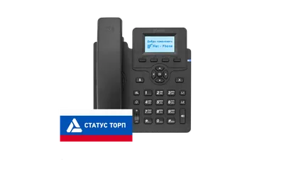 IP-телефон Flat-Phone C10: 2 SIP-аккаунта, 2 порта 10/100BASE-T (RJ-45), ЖК-дисплей, PoE, адаптер питания 220В, ТОРП