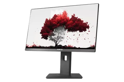 Монитор RDW 2402K (F00B3) 23,8" Monitor 1920x1080, IPS, 16:9, 250cd/m2, 1000:1, 5ms, 178°/178°, 75Гц, HDMI, DP, -5° /~23°, регулировка по высоте 130мм,  веб-камера, внешний БП, МПТ