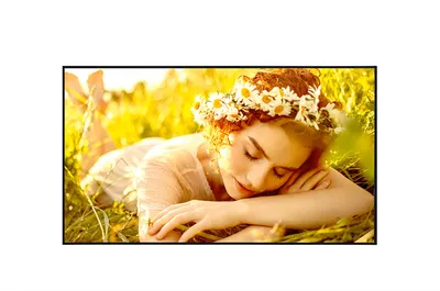 Дисплей LG 86UL5Q-M, UHD, 24/7, 500 кд/м2, webOS 6.1
