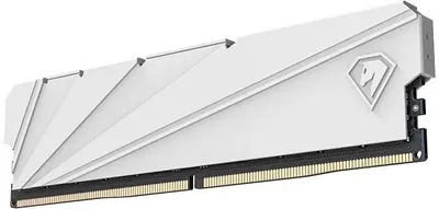 Оперативная память Netac NTSSD4P32DP-32W, DDR4, 2×16ГБ, 3200МГц, CL16