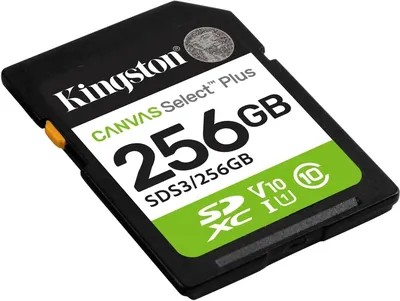 Карта памяти Kingston SDS3/256GB, SDXC, 256ГБ, UHS-I, V10