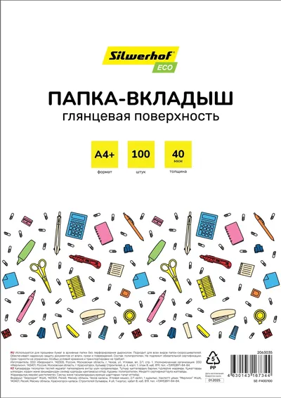 Папка-вкладыш Silwerhof SE-F40G100, A4+, 40 мкм, глянцевые, 100 шт