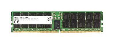Модуль памяти Hynix 64 ГБ, DDR5 DIMM, REG, 5600 МГц, HMCG94AGBRA177N