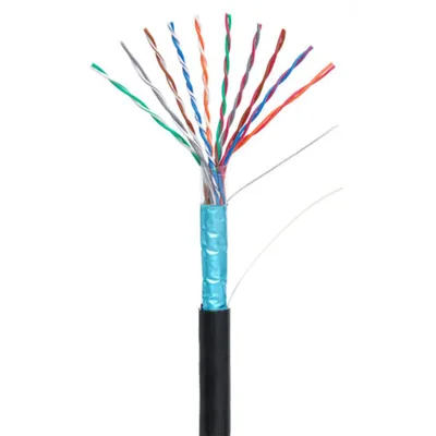 Кабель NETLAN F/UTP 10 пар, Кат.5 (Класс D), 100МГц, одножильный, BC (чистая медь), внешний, PE до -40C, черный, 305м