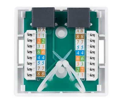 Розетка компьютерная Cabeus WS-8P8C-Cat.6-2, RJ-45, Cat.6, двойная, внешняя